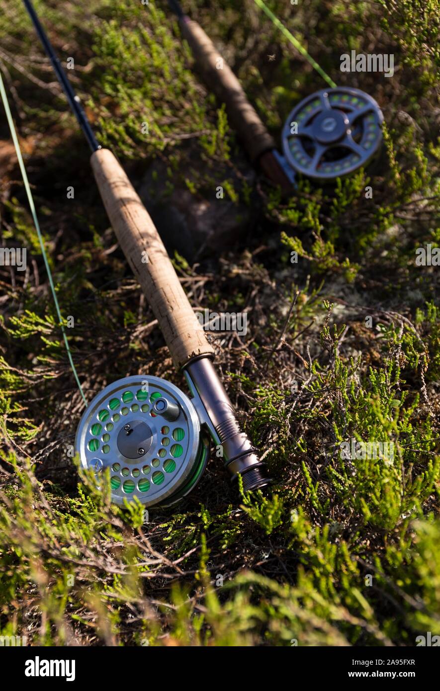 Two fly rods lying on the forest floor, partial view with handle, reel and string, Harjedalen, Sweden Stock Photo