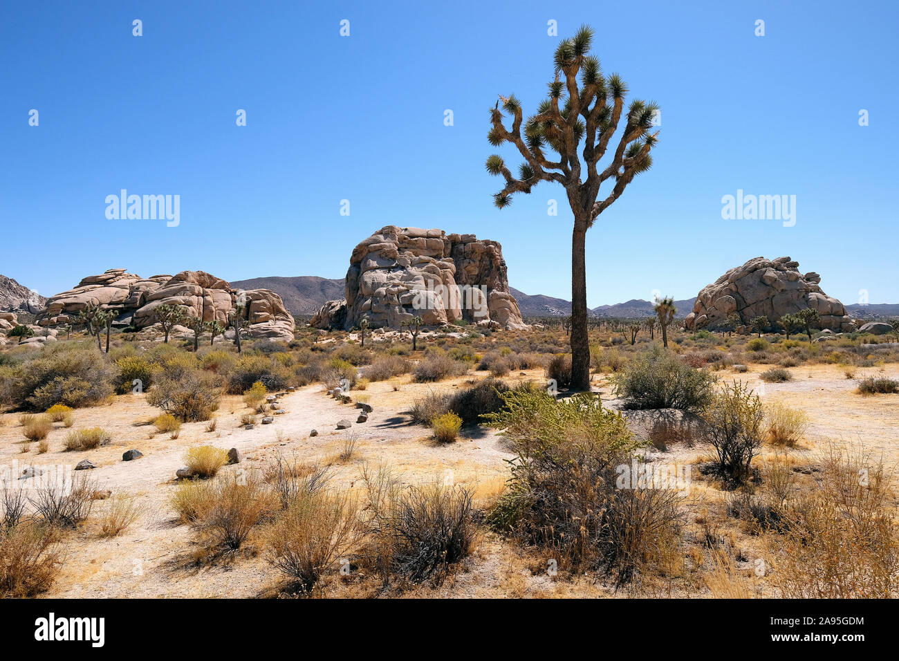 Joshua Tree National Park, California, USA Stock Photo