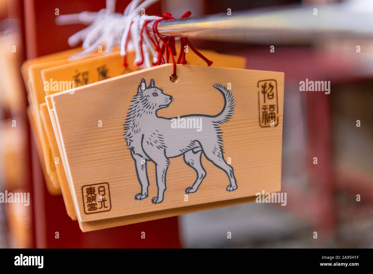 Painted white dog on small wooden boards, wish boards, Ema, Shinto shrine, Nikko, Japan Stock Photo