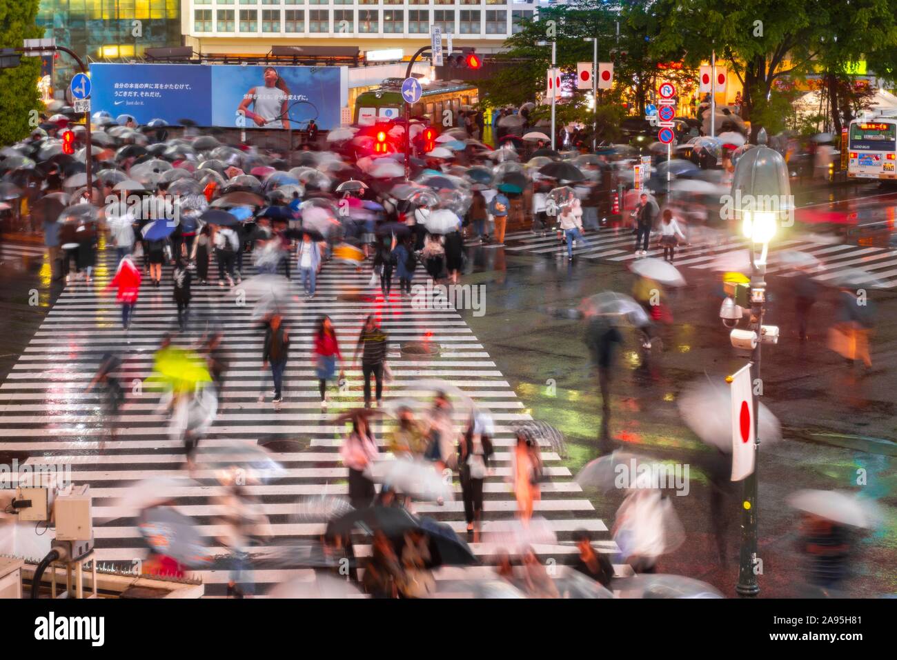 Crowd with umbrellas on zebra crossings at night, crossing Shibuya ...