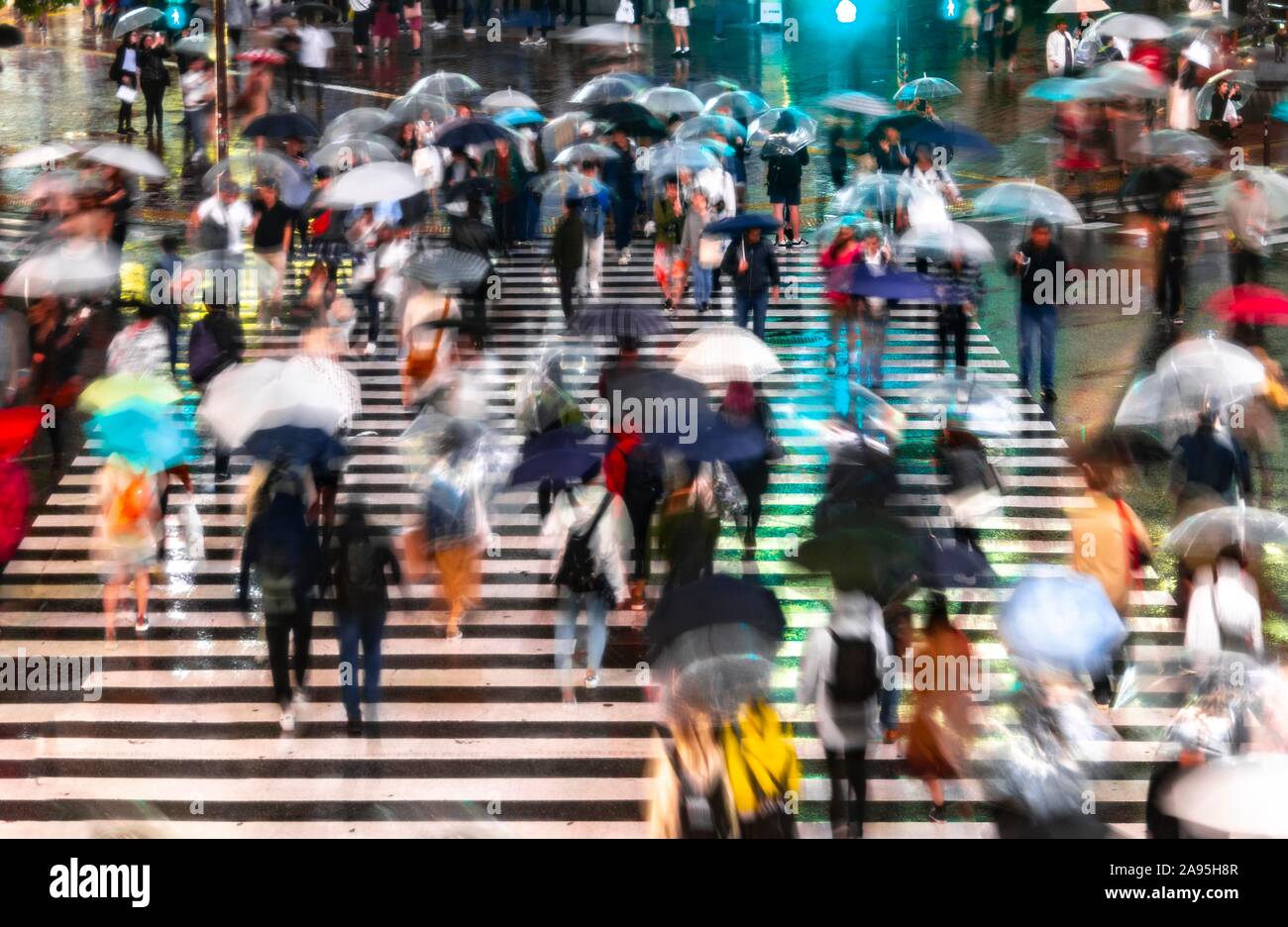 Crowd with umbrellas on zebra crossings at night, motion blur, Shibuya Crossing, Shibuya, Tokyo, Japan Stock Photo