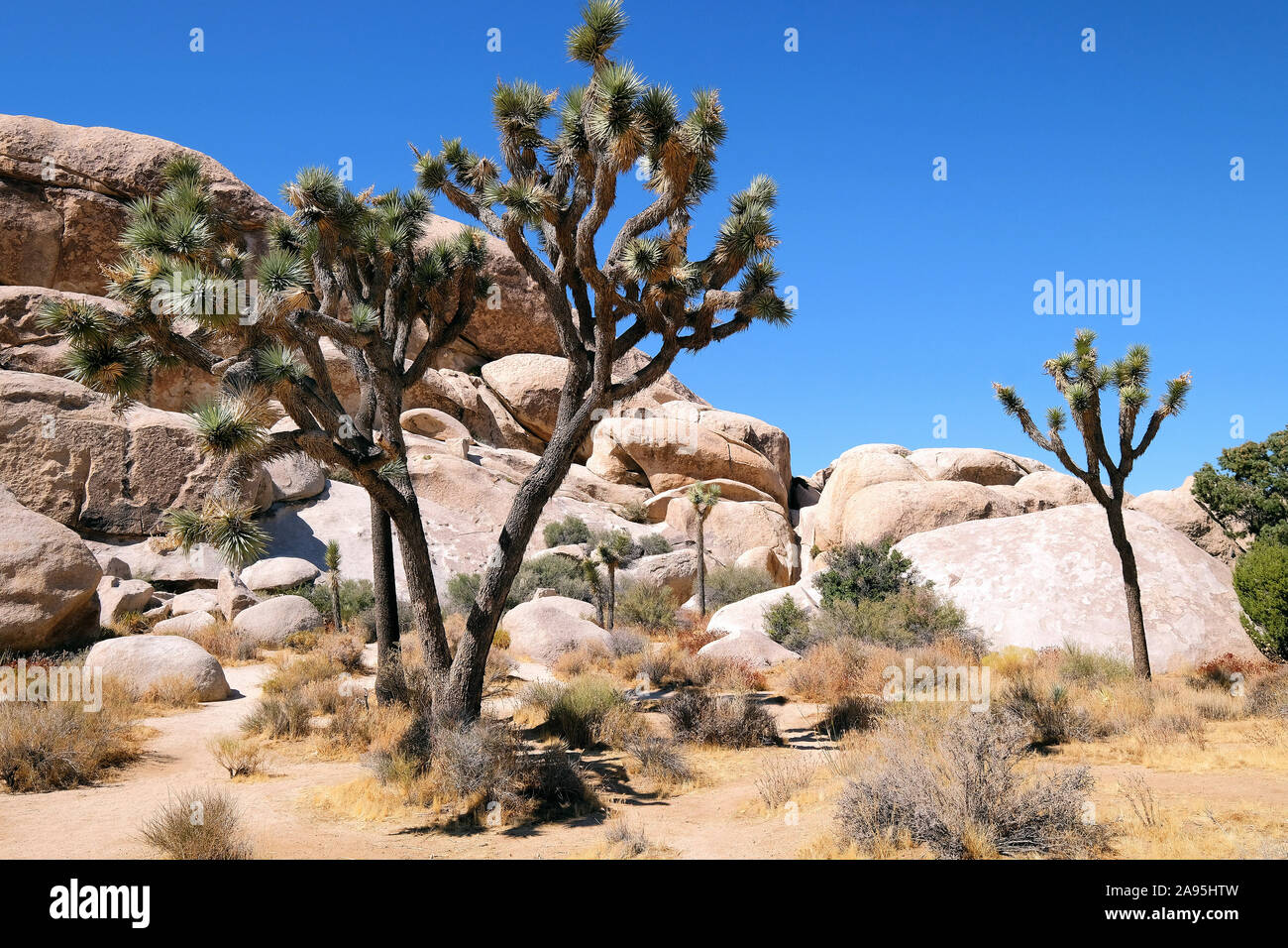 Joshua Tree National Park, California, USA Stock Photo