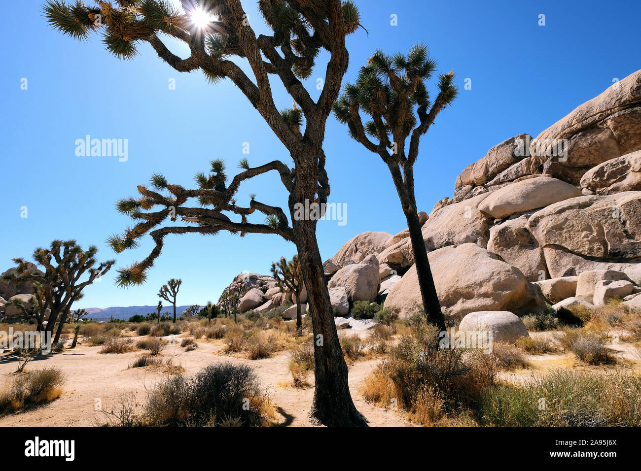 Joshua Tree National Park, California, USA Stock Photo Alamy
