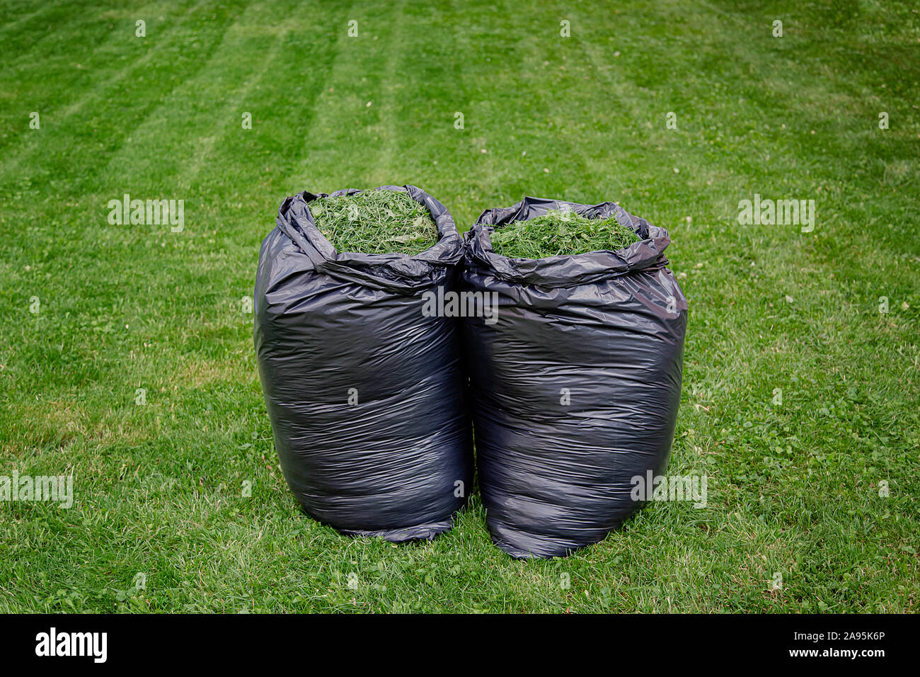 A Plastic Bag of Garden Waste Including Tree Bark and Vegetation, Lying on  Grass Stock Image - Image of bark, lawn: 240125019