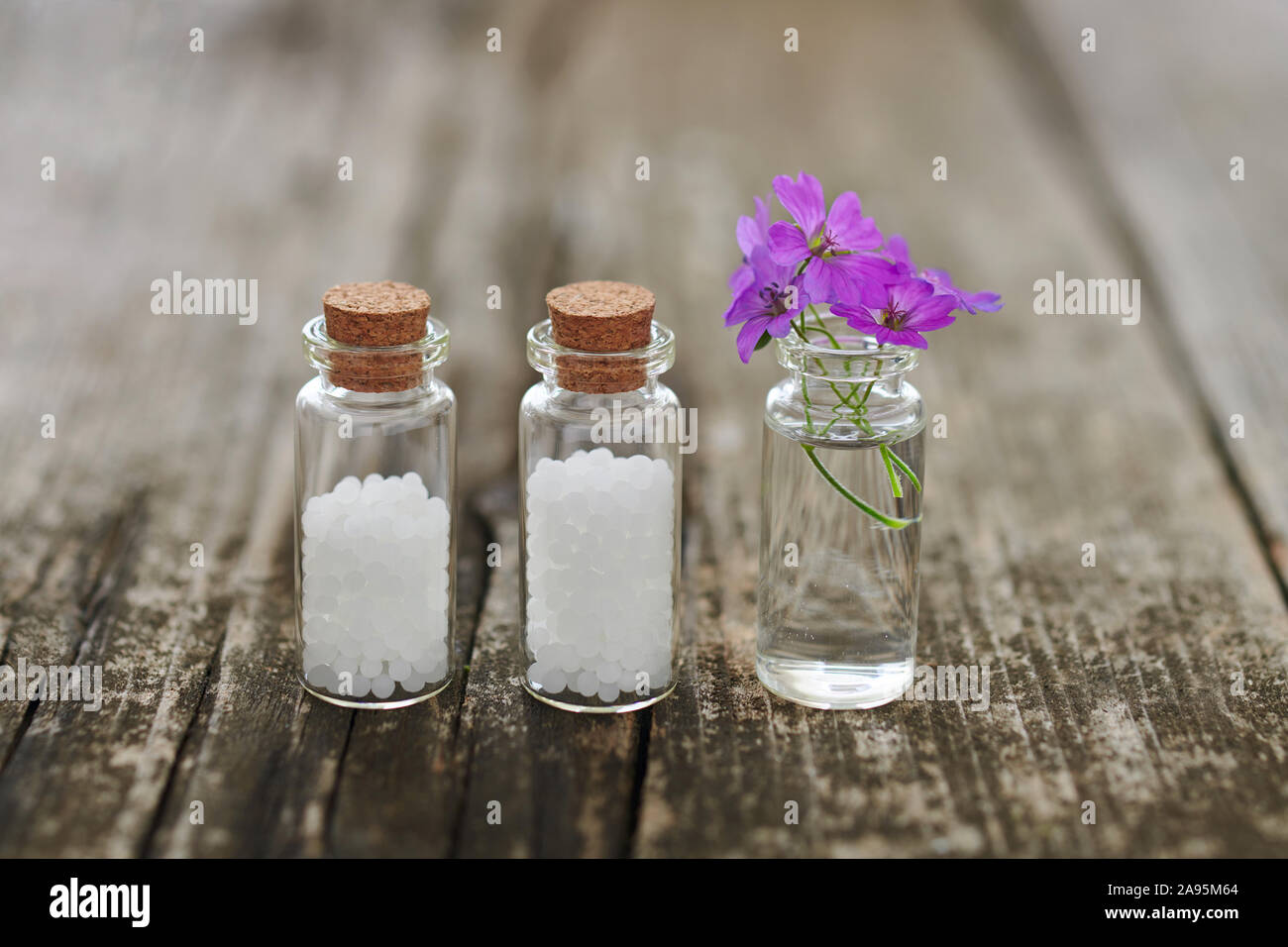 Homeopathic granules in small glass flasks and small pink flowers. Stock Photo