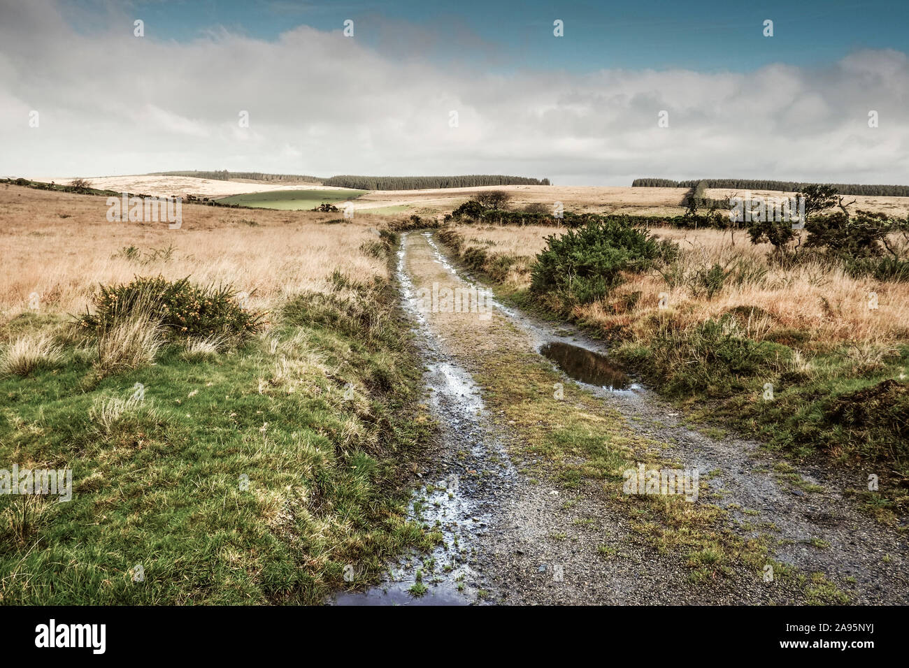 A rough road track on the rugged Bodmin Moor in Cornwall. Stock Photo
