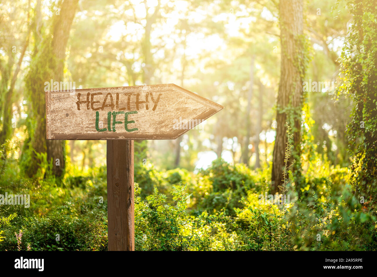 Making our decisions for a healthy life with help of direction. Stock Photo