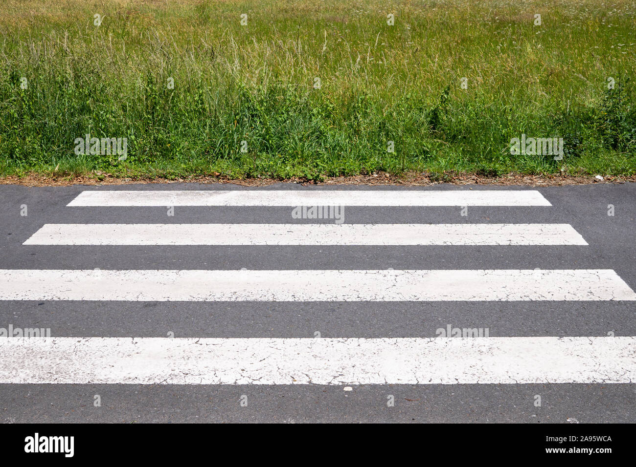 Crosswalk that ends on meadow. Urbanization concept. Sunny day Stock Photo