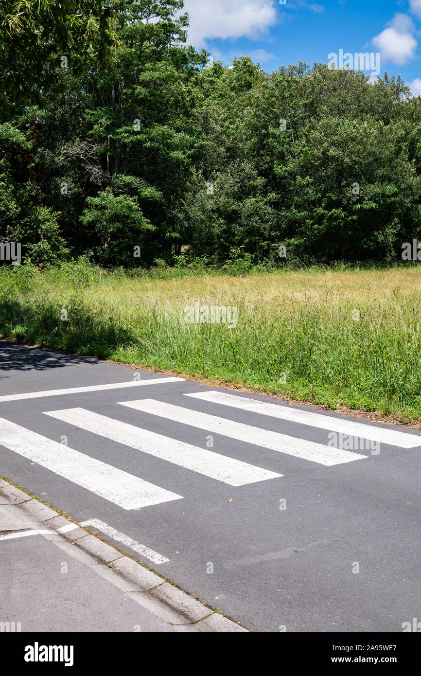 Crosswalk that ends on meadow. Urbanization concept. Sunny day Stock Photo