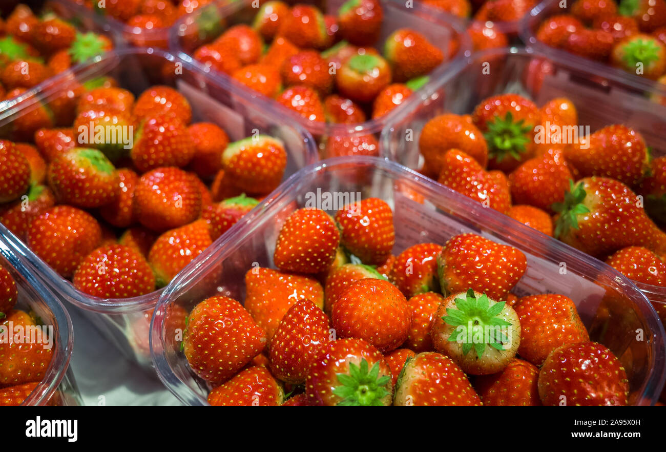 Fresh strawberries for sale packed in plastic cartons. Stock Photo