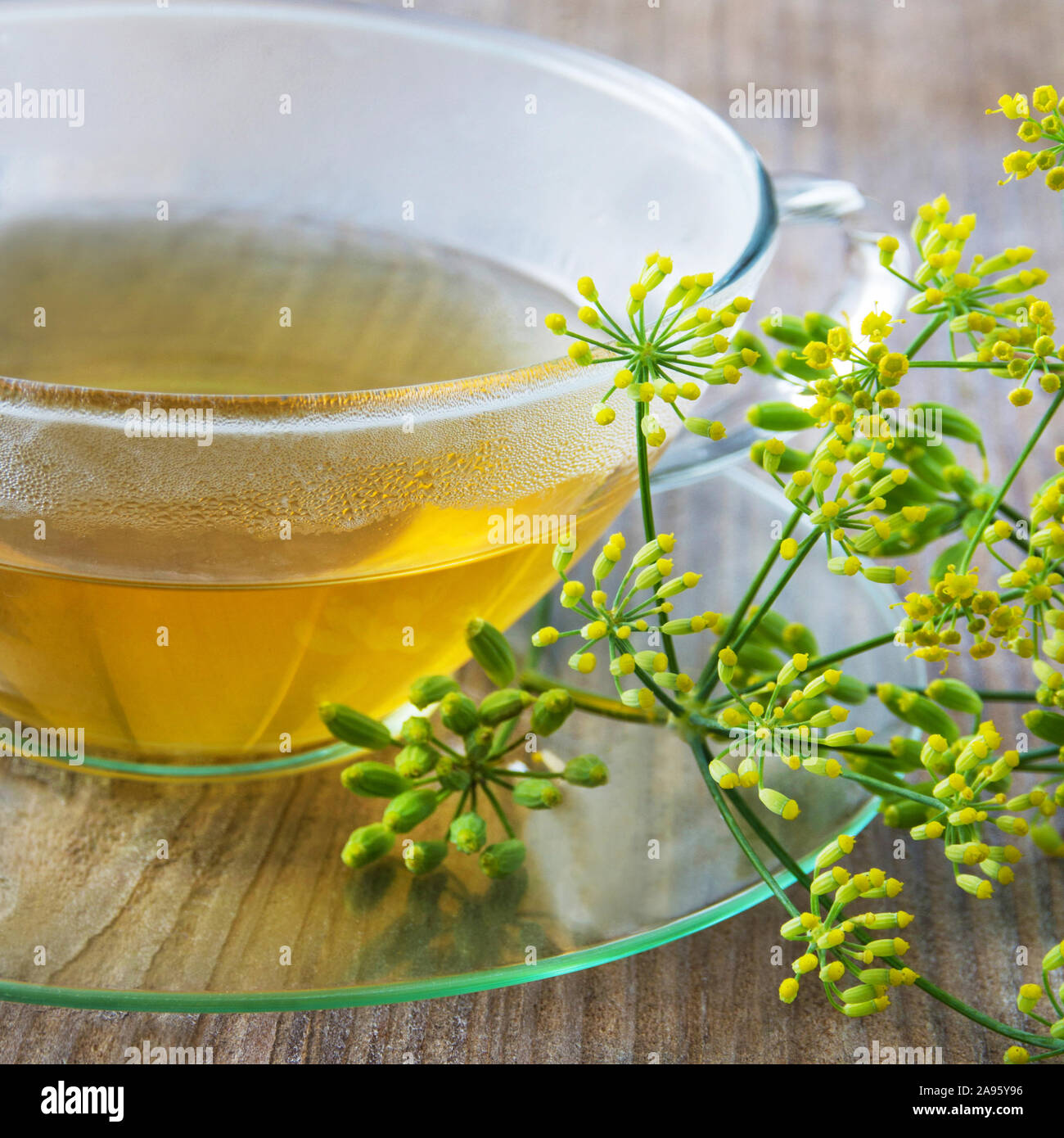 Fennel tea and fresh fennel plant Stock Photo Alamy