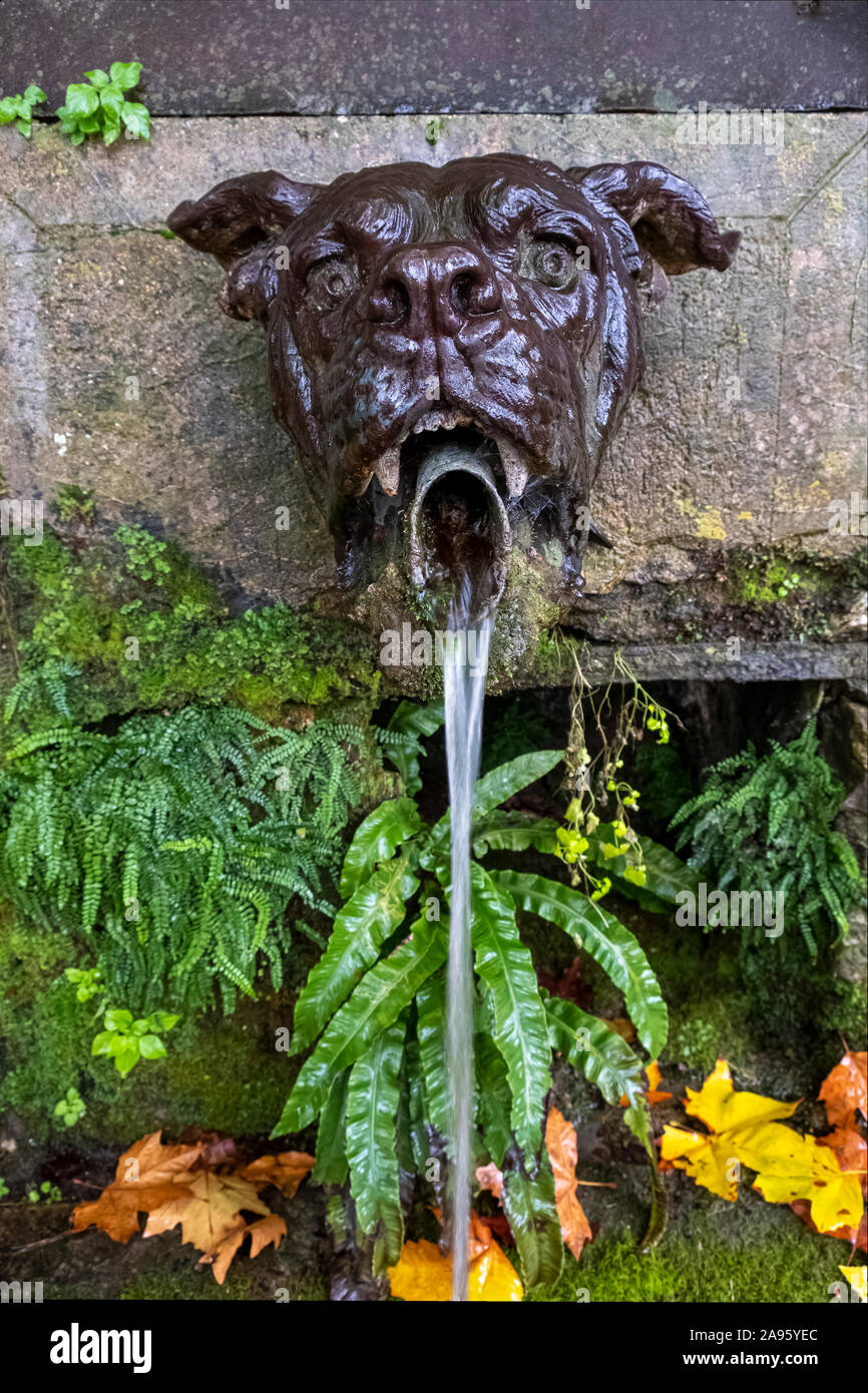 Bulldog fountain hi res stock photography and images Alamy