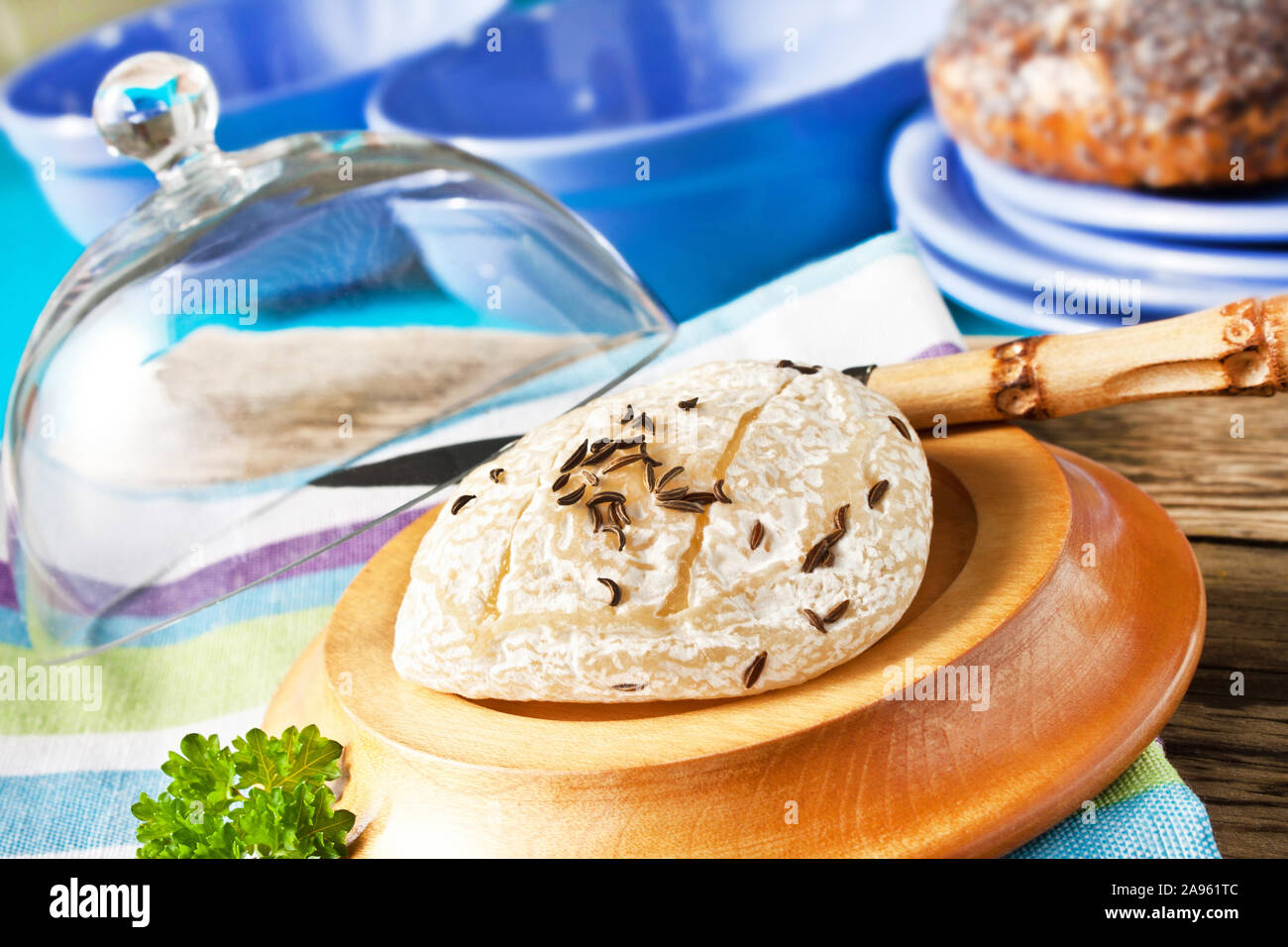 German Harzer Cheese and caraway Stock Photo