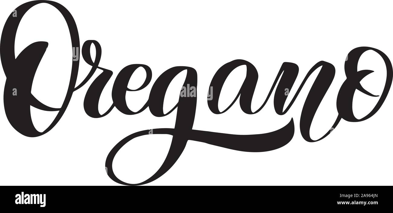 Vector calligraphy illustration isolated on white background. Stock Vector