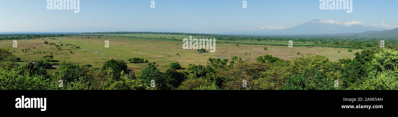Panoramic image of Bekol savannah surrounded by tropical green forest in Baluran National Park, Situbondo, Indonesia Stock Photo