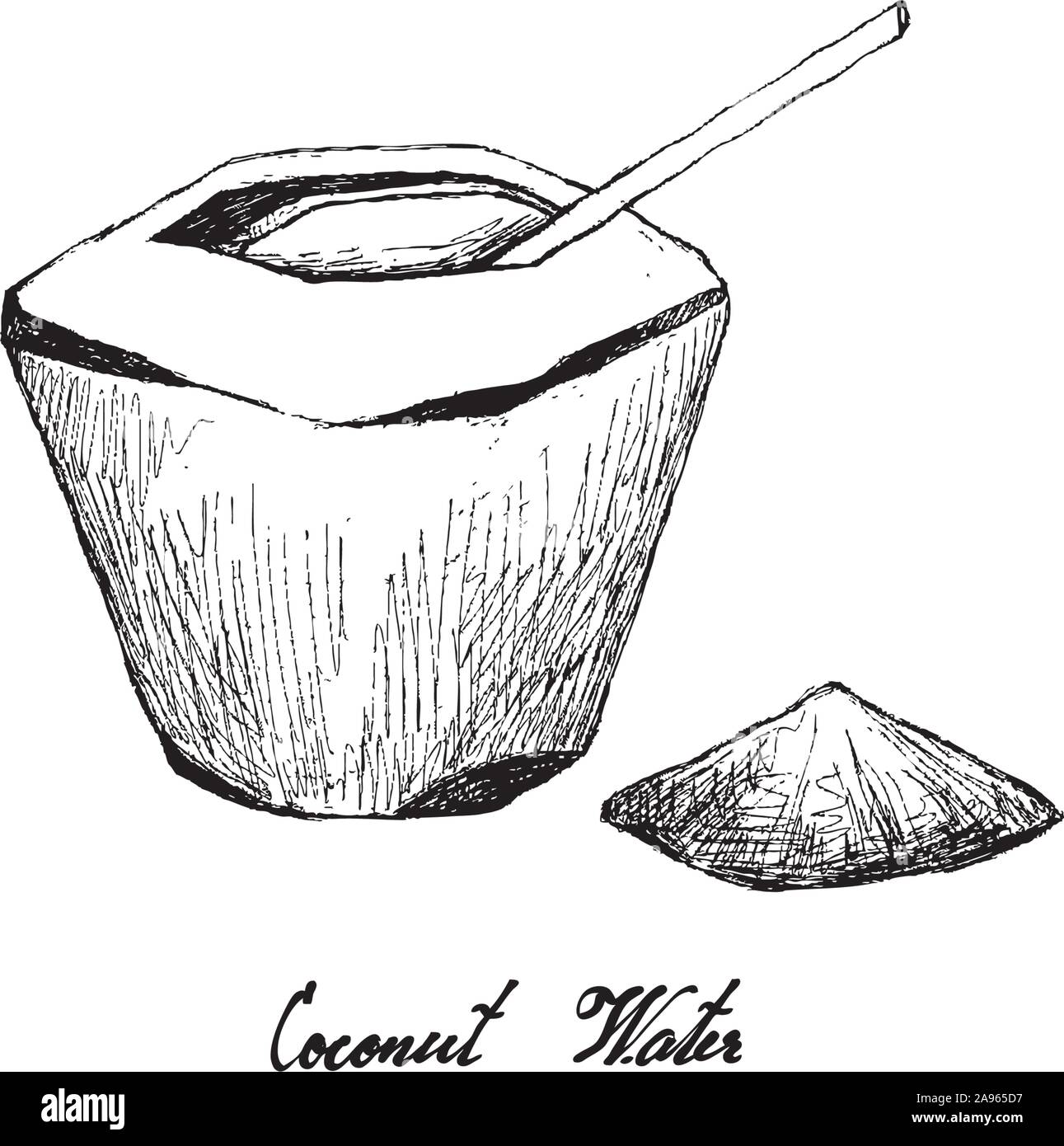 Tropical Fruits, Illustration of Hand Drawn Sketch Coconut Water