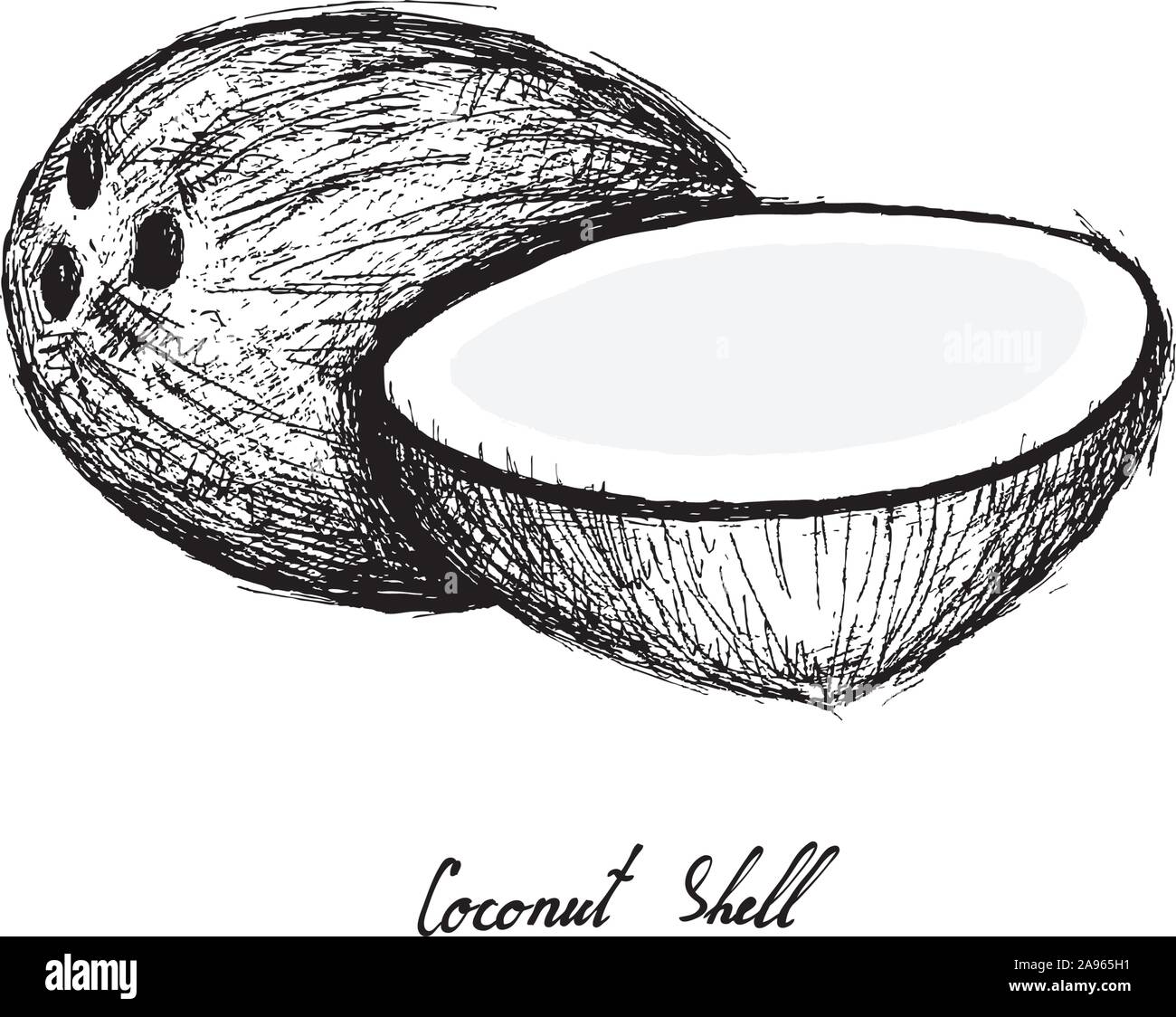 Coconut husk water Stock Vector Images Alamy