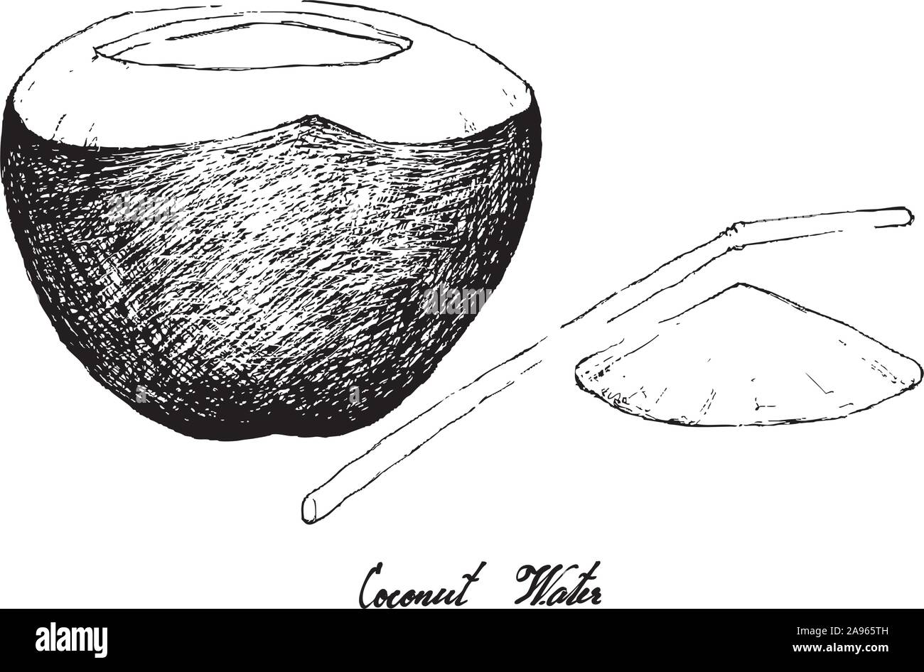 Tropical Fruits, Illustration of Hand Drawn Sketch Coconut Water