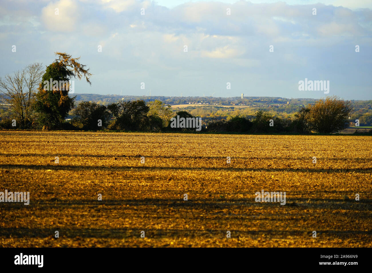 View from the Greensand Ridge Walk near Old Warden, north east to the water tower near Ravensden Stock Photo