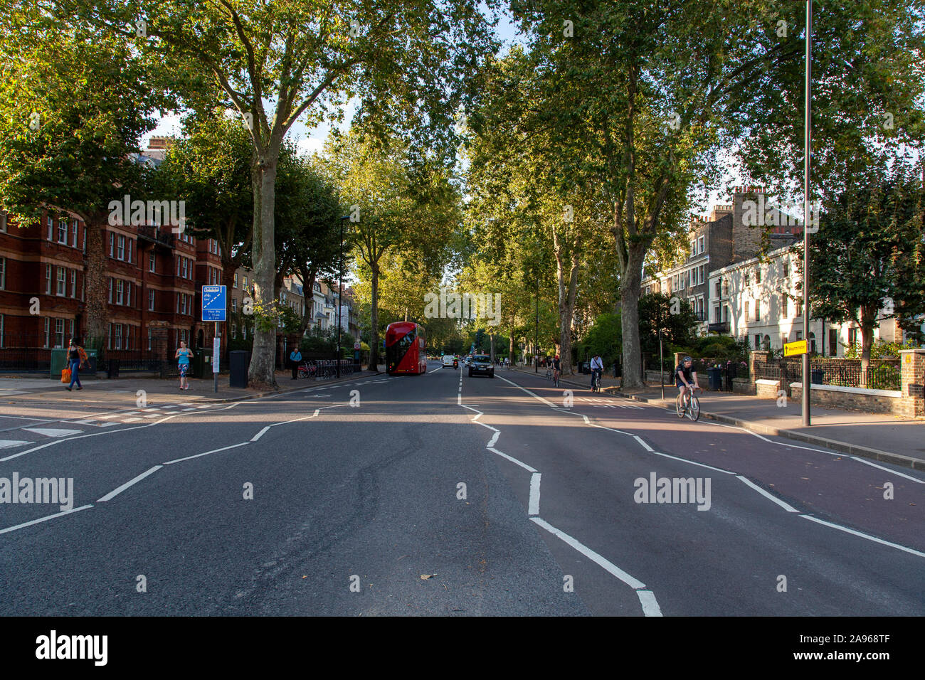 Avenue of London Plane trees (platanus x hispanica), Kennington Lane, London SE1 Stock Photo