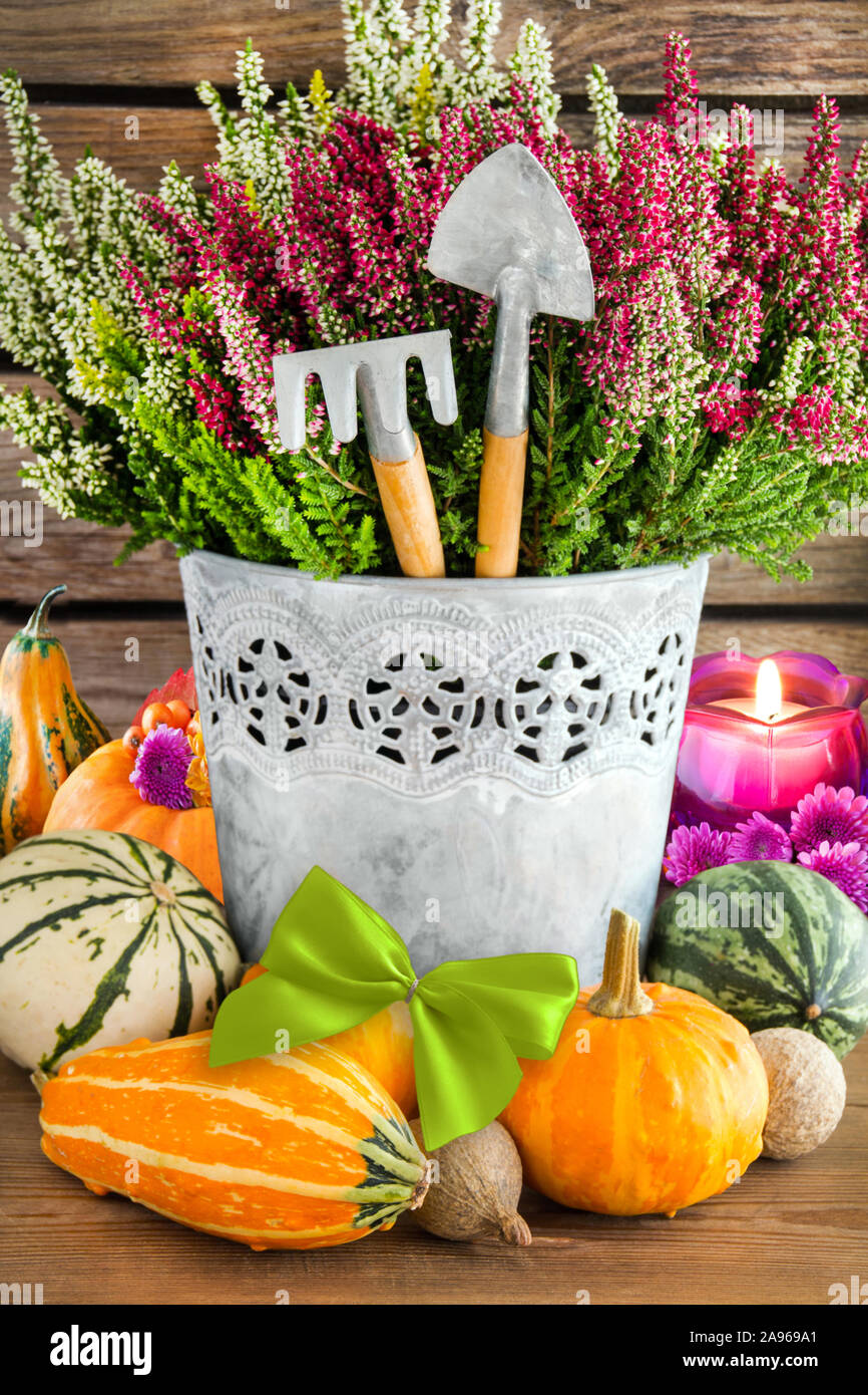 Seasonal autumn decoration with flowers Stock Photo