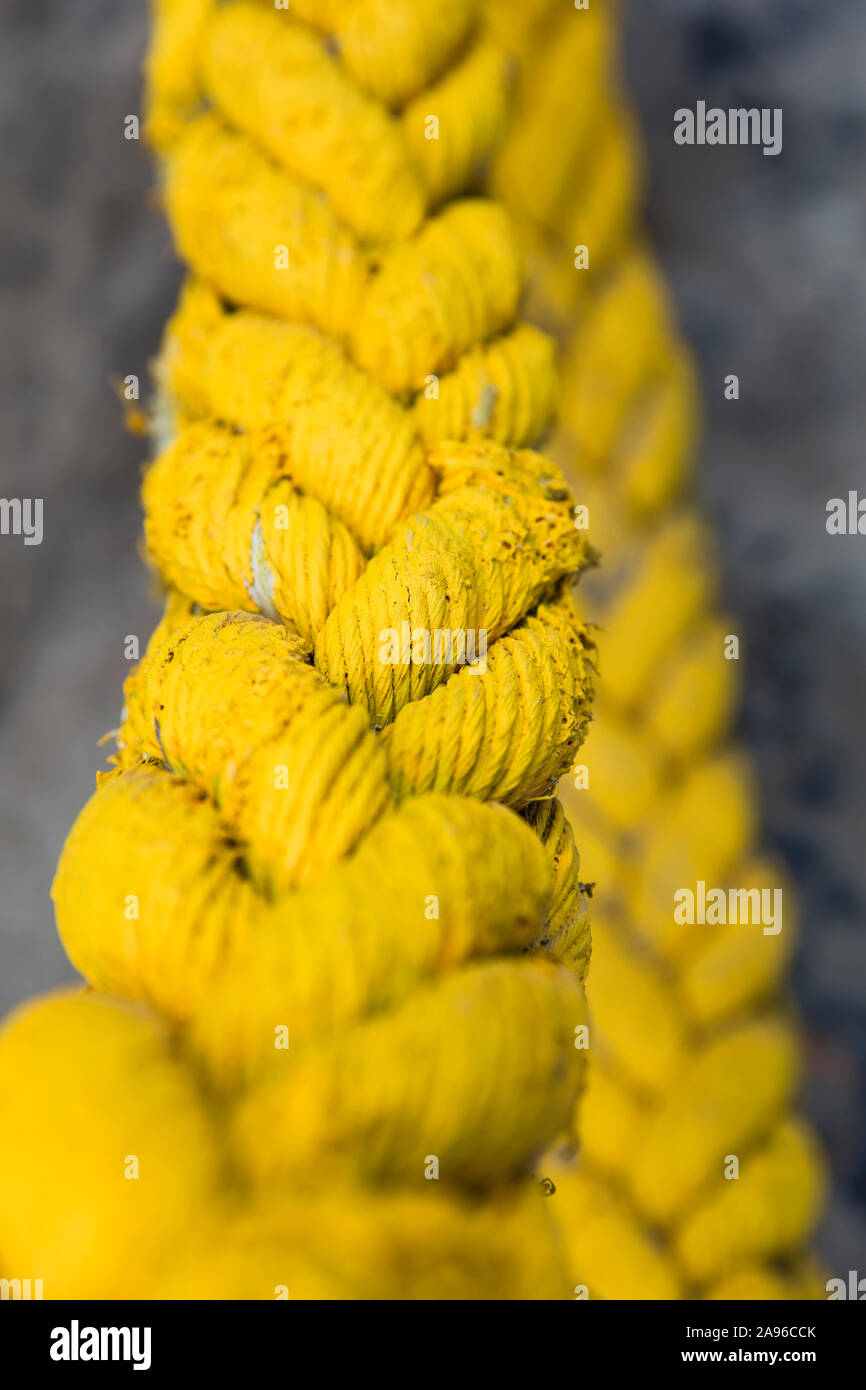Wwf Yellow Ropes Close up view at the yellow rope Stock Photo - Alamy