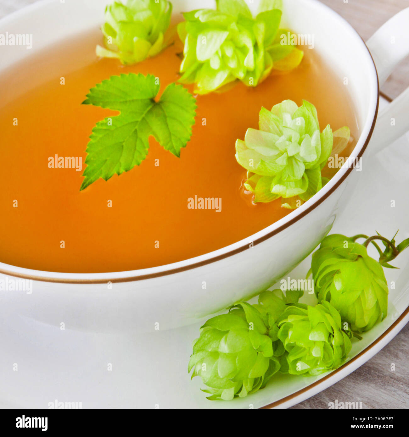 Hop tea and herb leaves close up Stock Photo