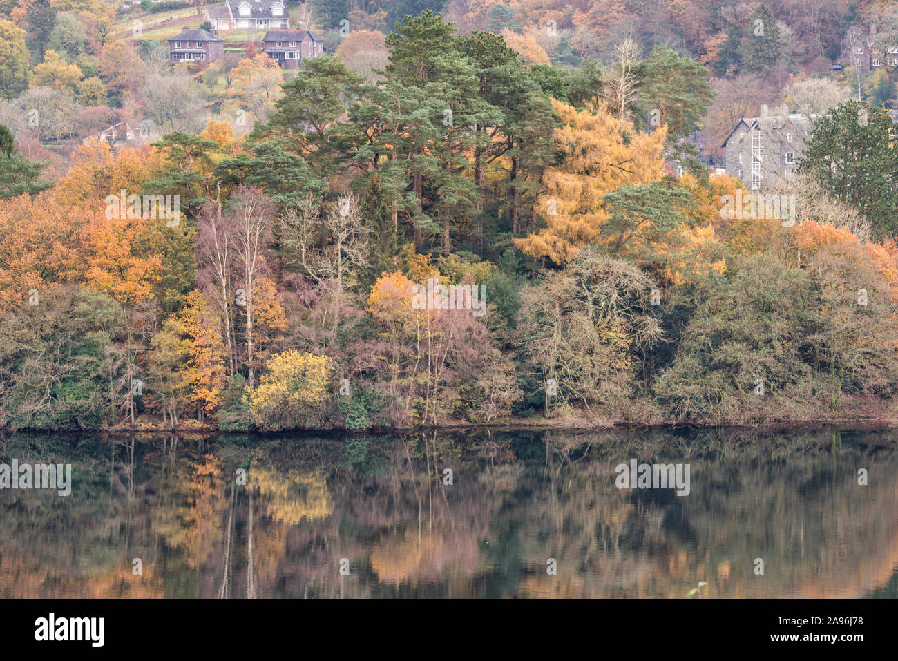 Autumn colours reflected in the lake at Grasmere in the Lake District National Park Stock Photo