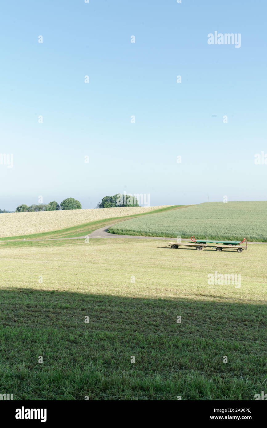 Fields in Saignelégier, Switzerland Stock Photo