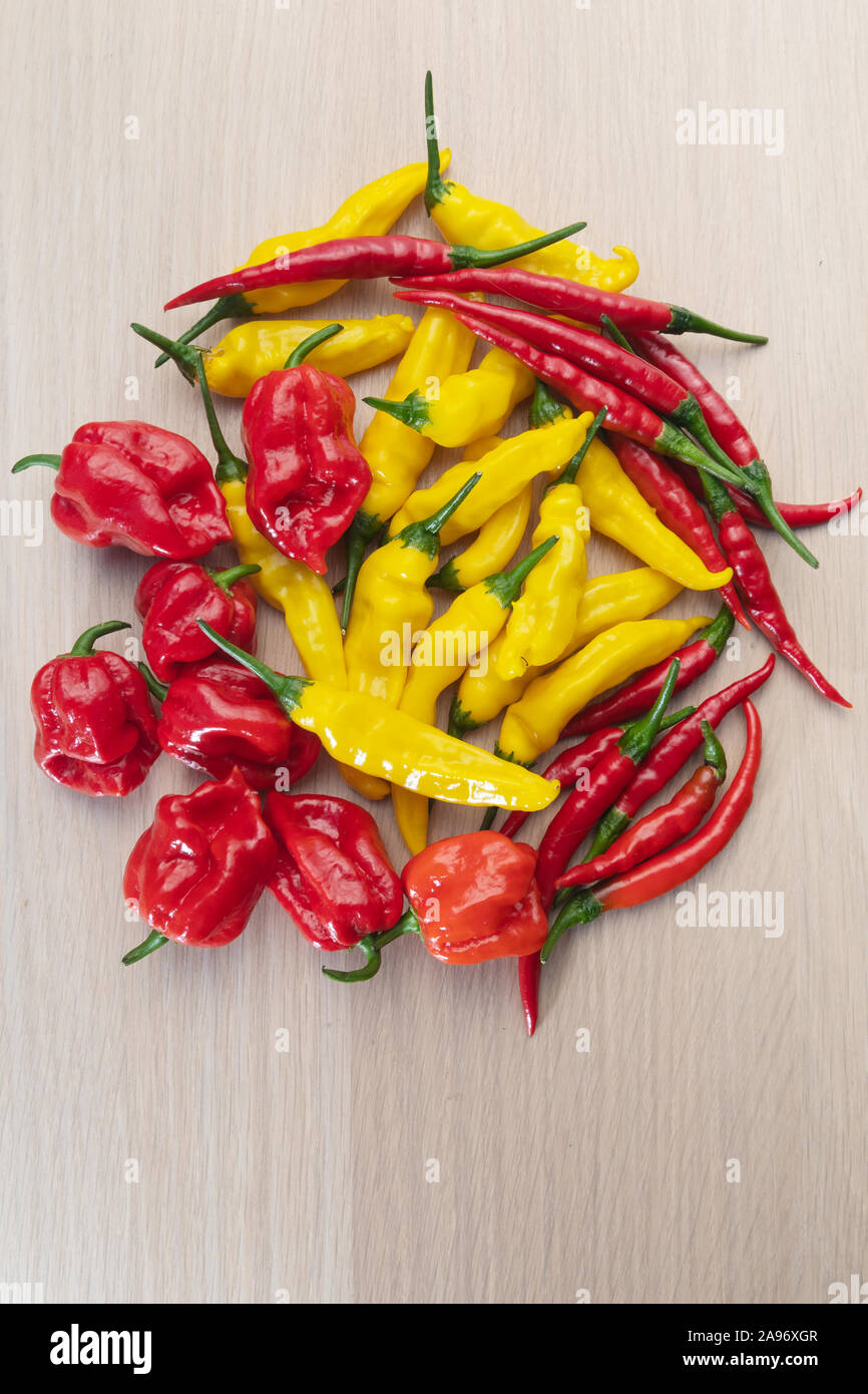 Fresh chili peppers, red, orange and yellow hot peppers on a wooden table viewed from above, habanero, lemon drop, cayenne, thai Stock Photo