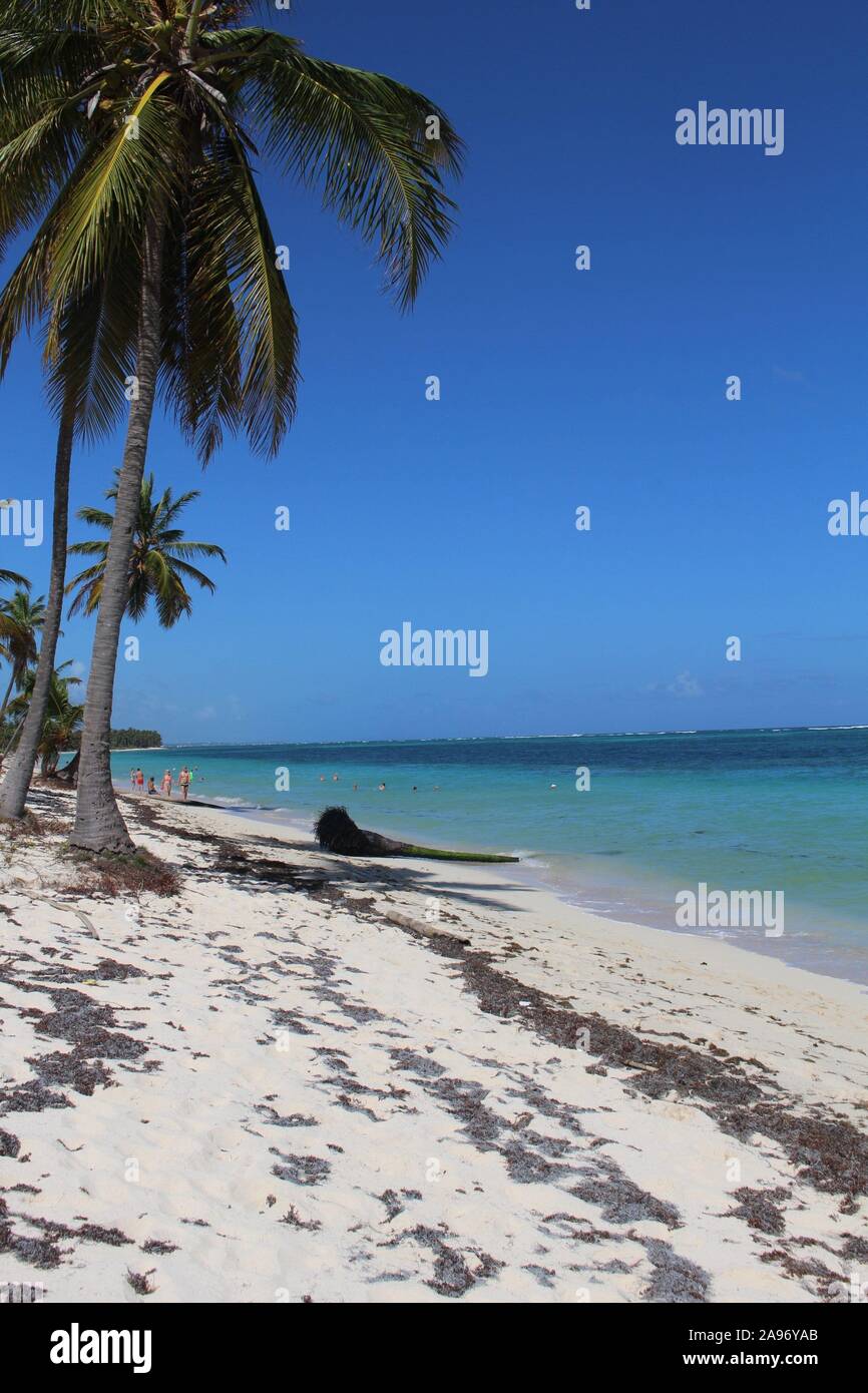 Punta Cana Dominican Republic beach Stock Photo - Alamy