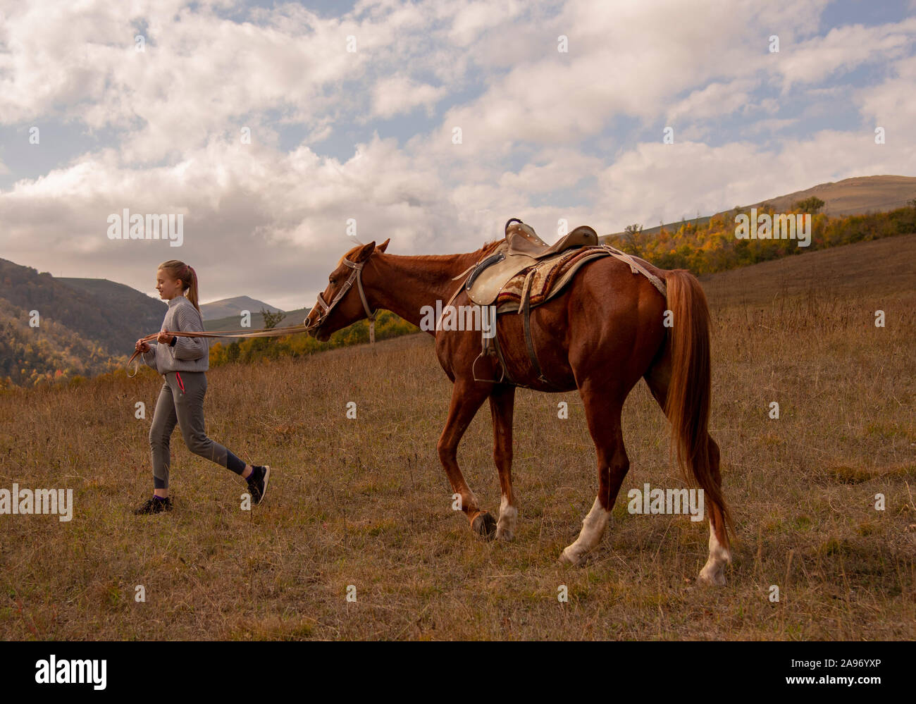 a Young girl leads a horse by the bridle Stock Photo Alamy