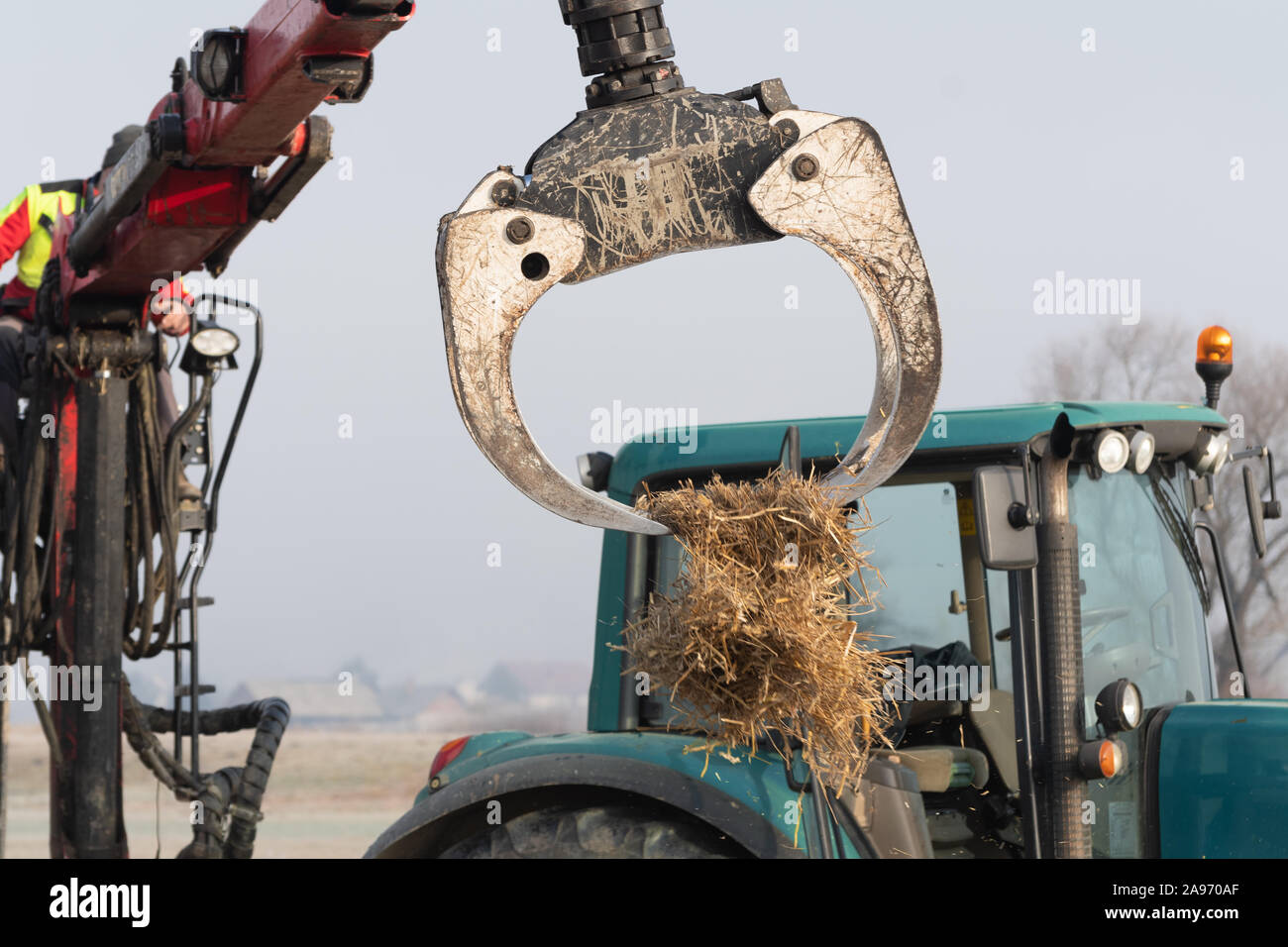 Operator of forestry tractor crane with grapple tossing mulch straw on the field. Agriculture, farming, forestry and mechanization concepts. Stock Photo
