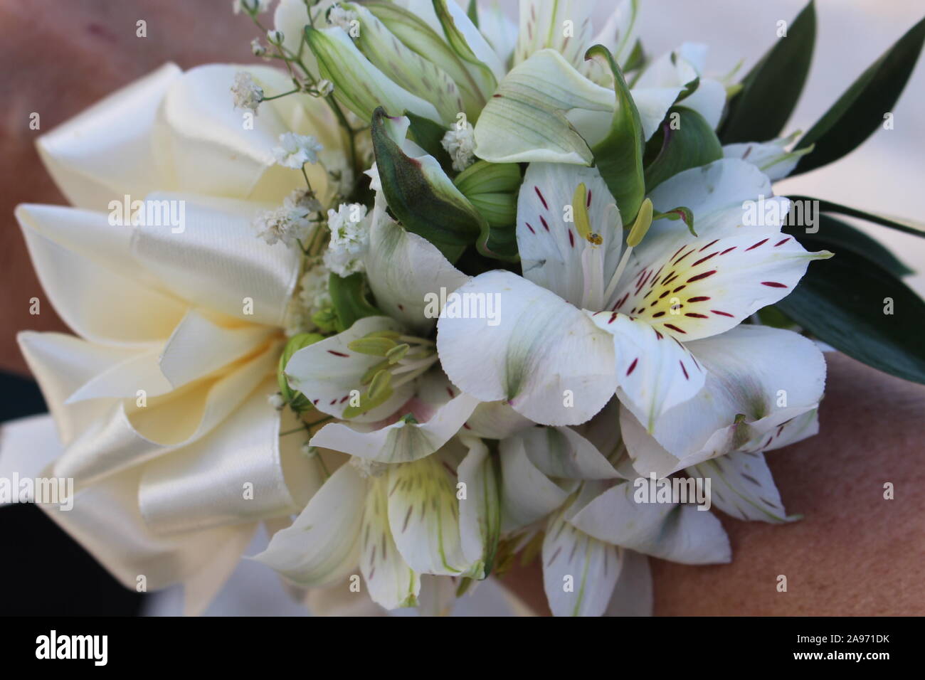 Lily in a corsage hires stock photography and images Alamy