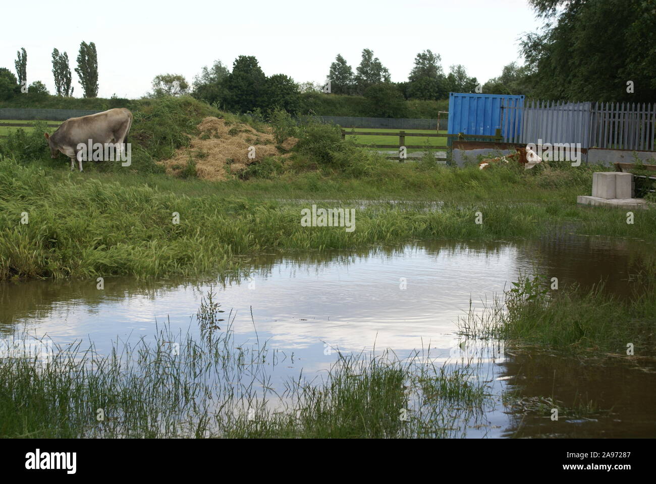 Flooded farm, South yorkshire Stock Photo