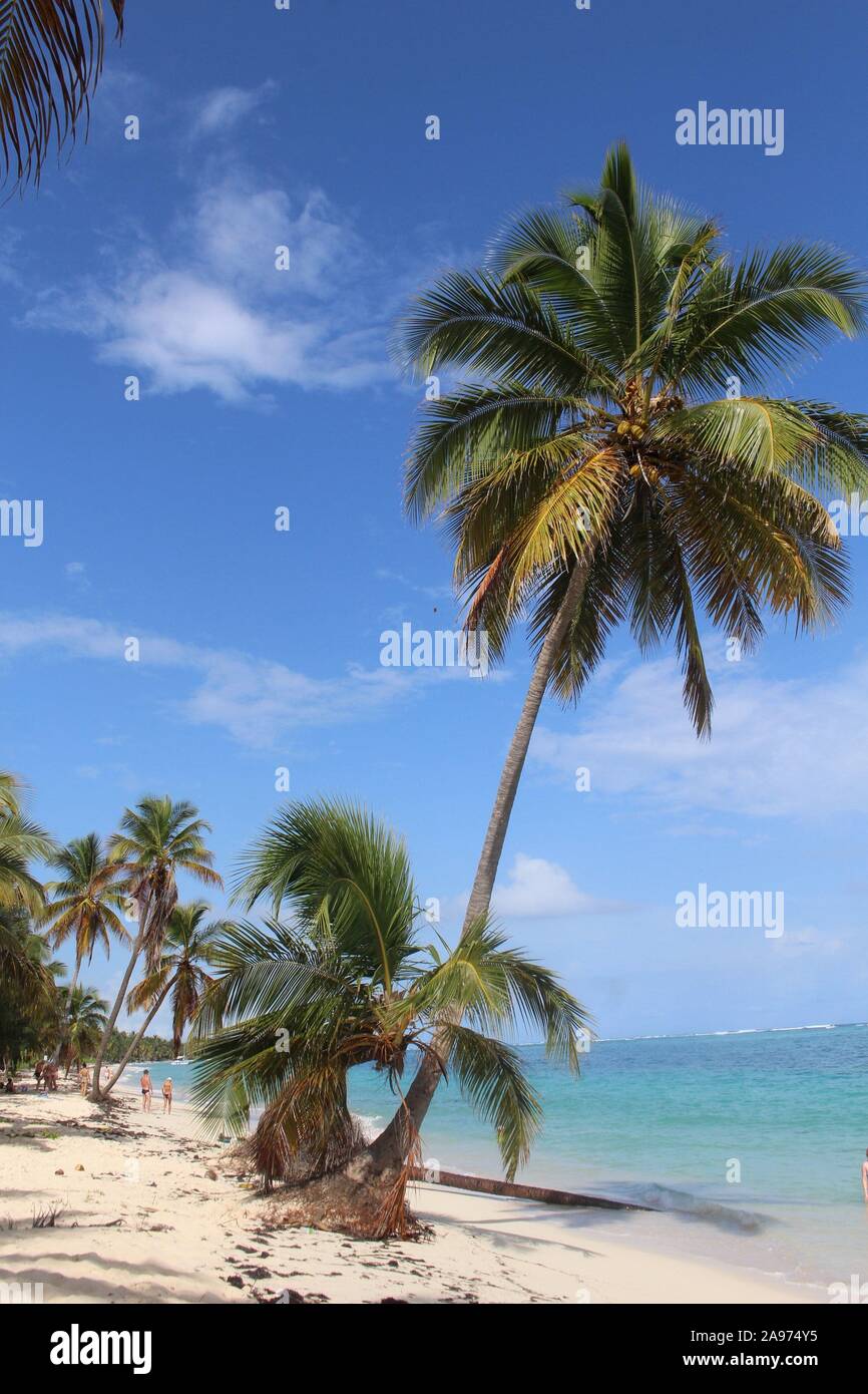 Punta Cana Dominican Republic beach Stock Photo - Alamy