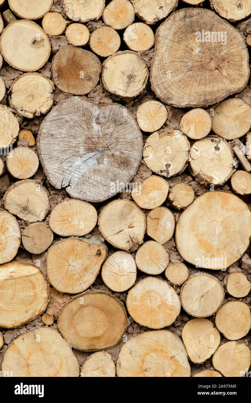 Pile of different sized logs cut ends of wood end on Stock Photo