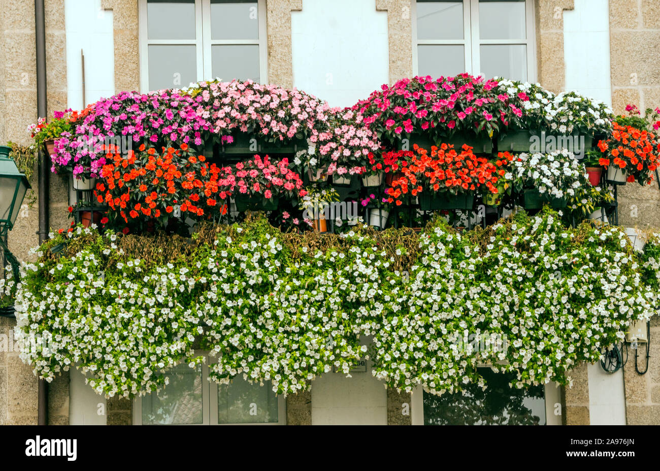 Windows with flowers in the balcony in a wall Stock Photo