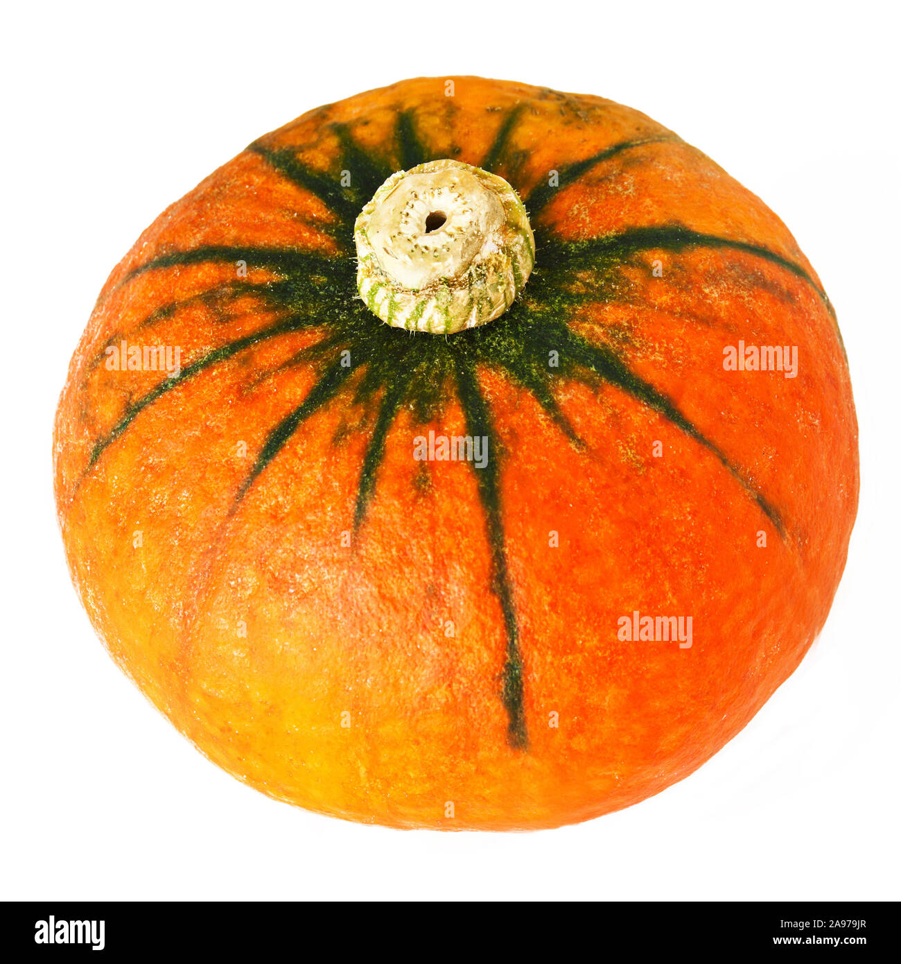 Pumpkin isolated on white background Stock Photo - Alamy