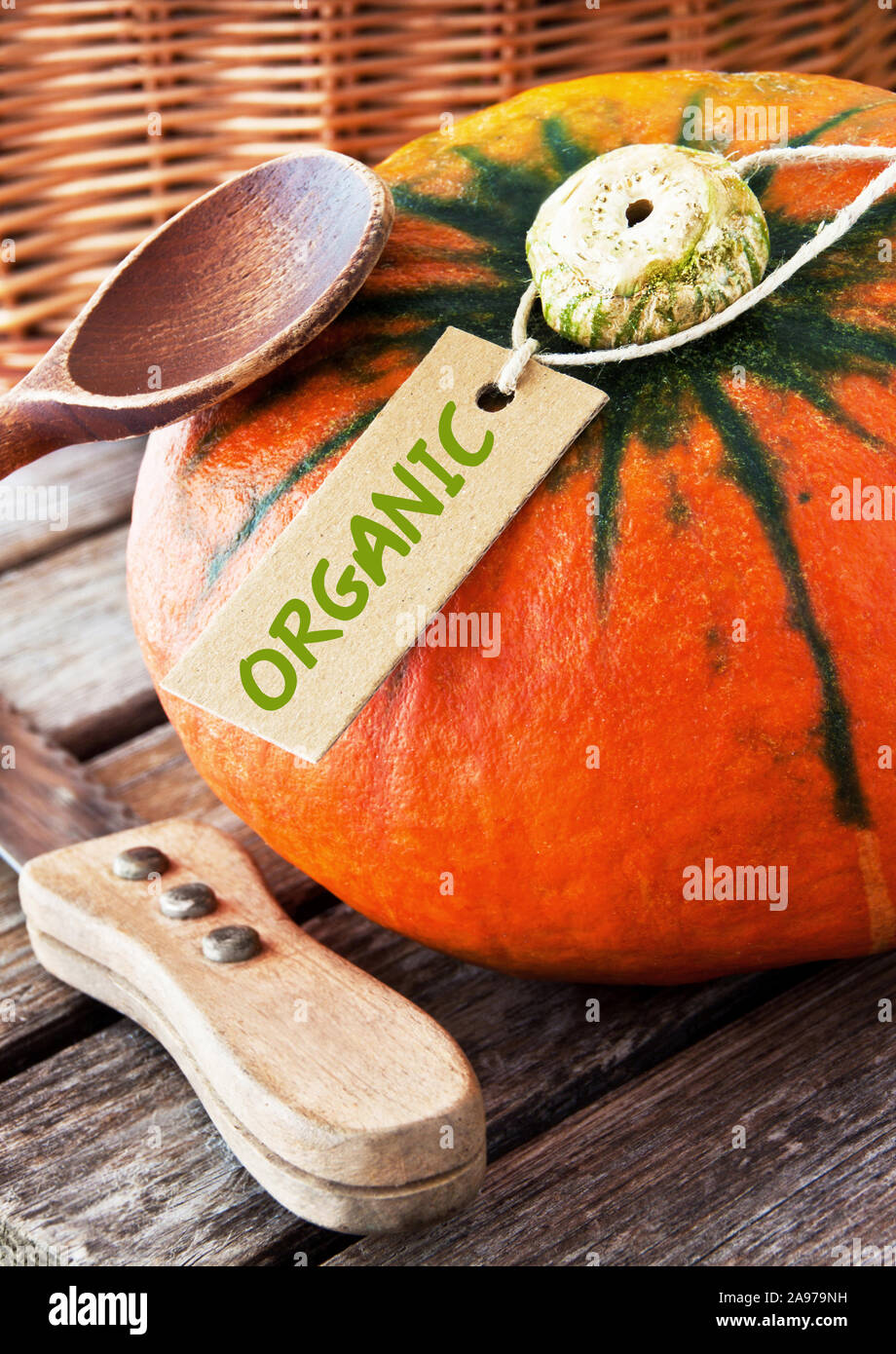Pumpkin organic farming Stock Photo