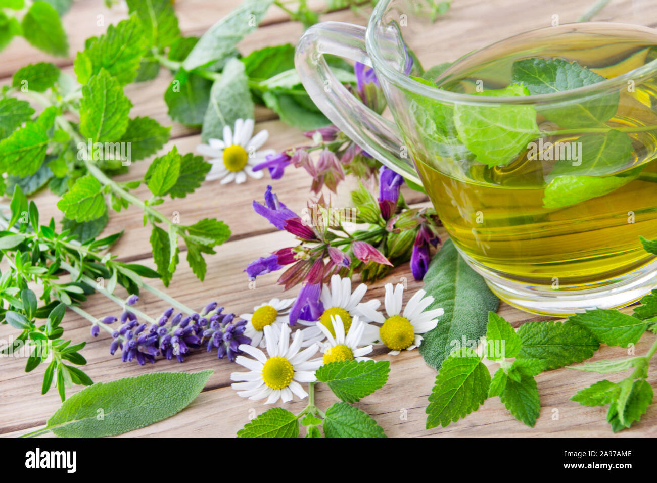 Herbal tea and fresh herbs Stock Photo
