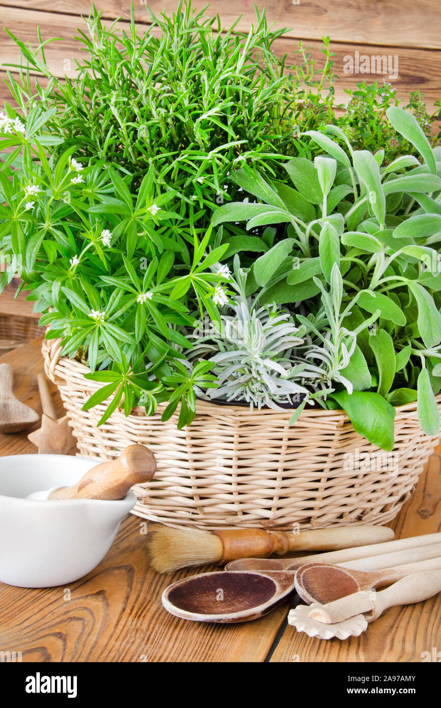 Fresh herbs and wooden kitchen tools Stock Photo Alamy