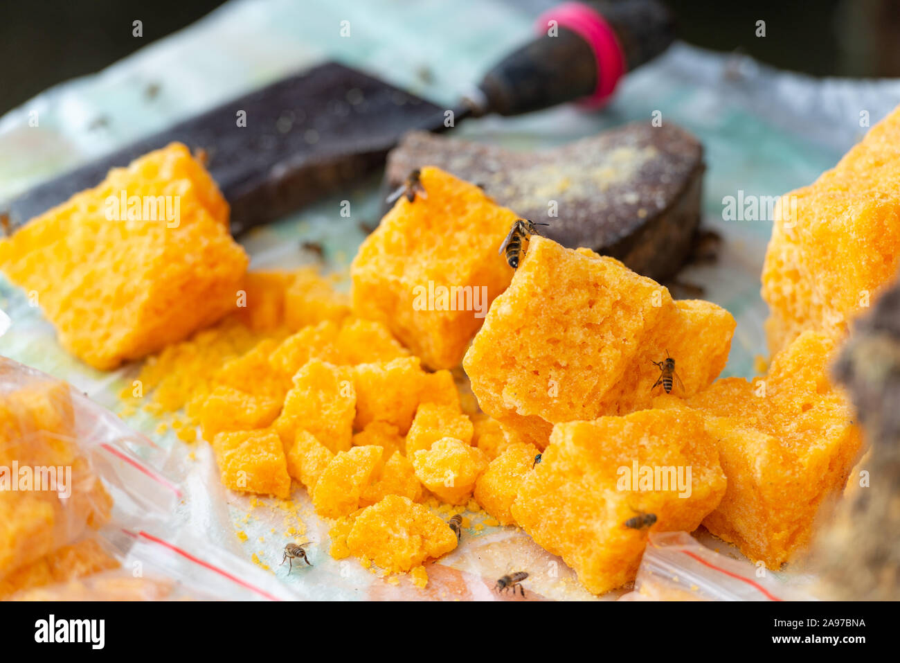 Raw honey on display attracting bees on a farm in Guilin, China. Stock Photo