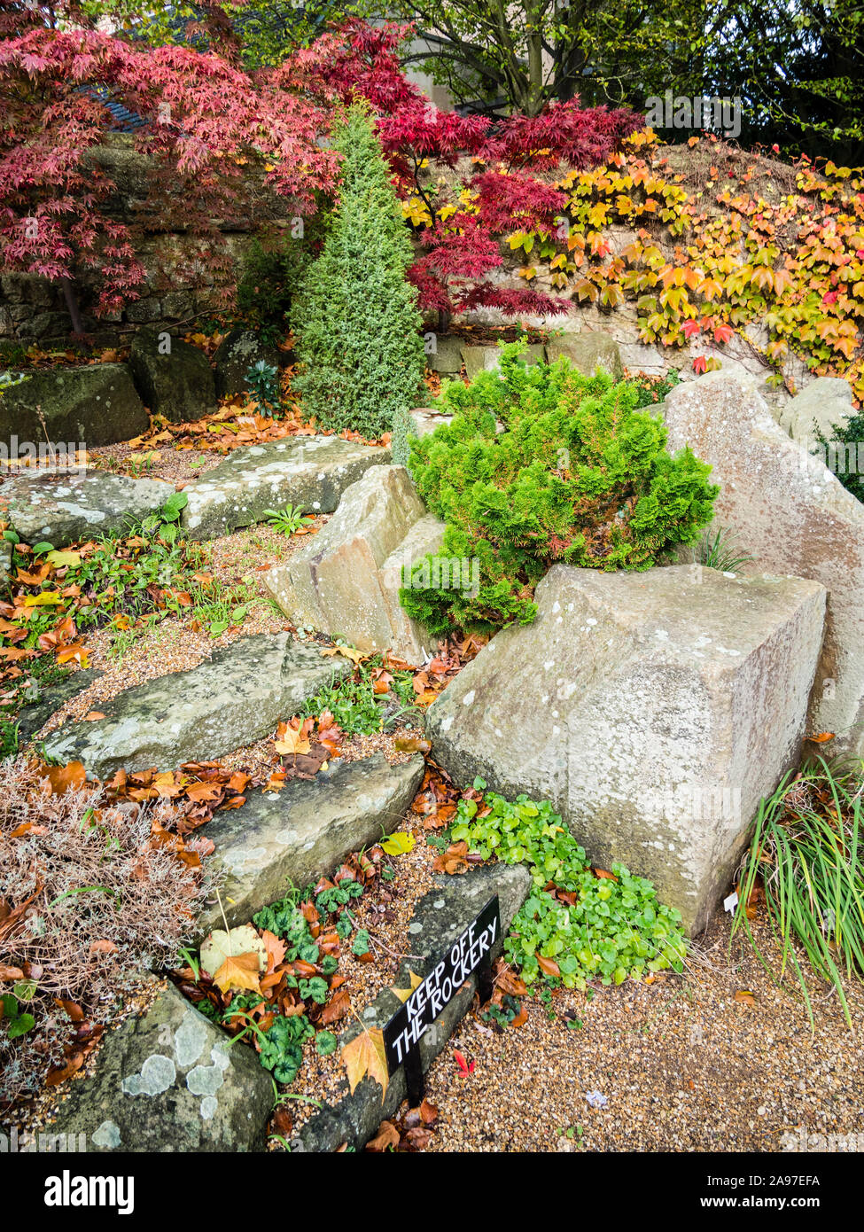 Autumn, Fall, Rock Garden, The Gardens, St Johns College, Oxford University, Oxford, Oxfordshire, England, UK, GB. Stock Photo