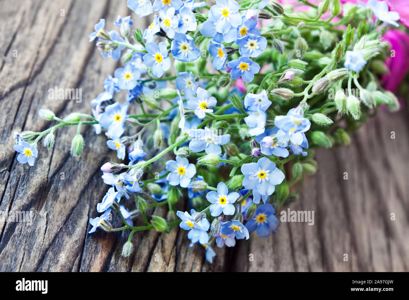 Forget-me-not flowers and wooden background Stock Photo - Alamy