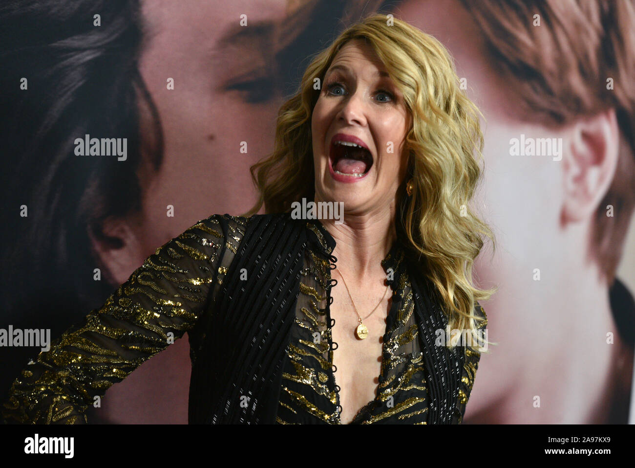 Laura Dern attends 'Marriage Story' New York Premiere at Paris Theater on November 10, 2019 in New York City. Stock Photo