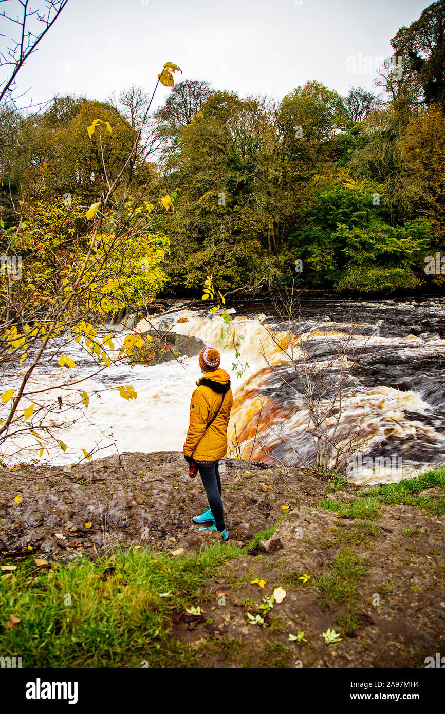 Mustard waterfall coat cheap
