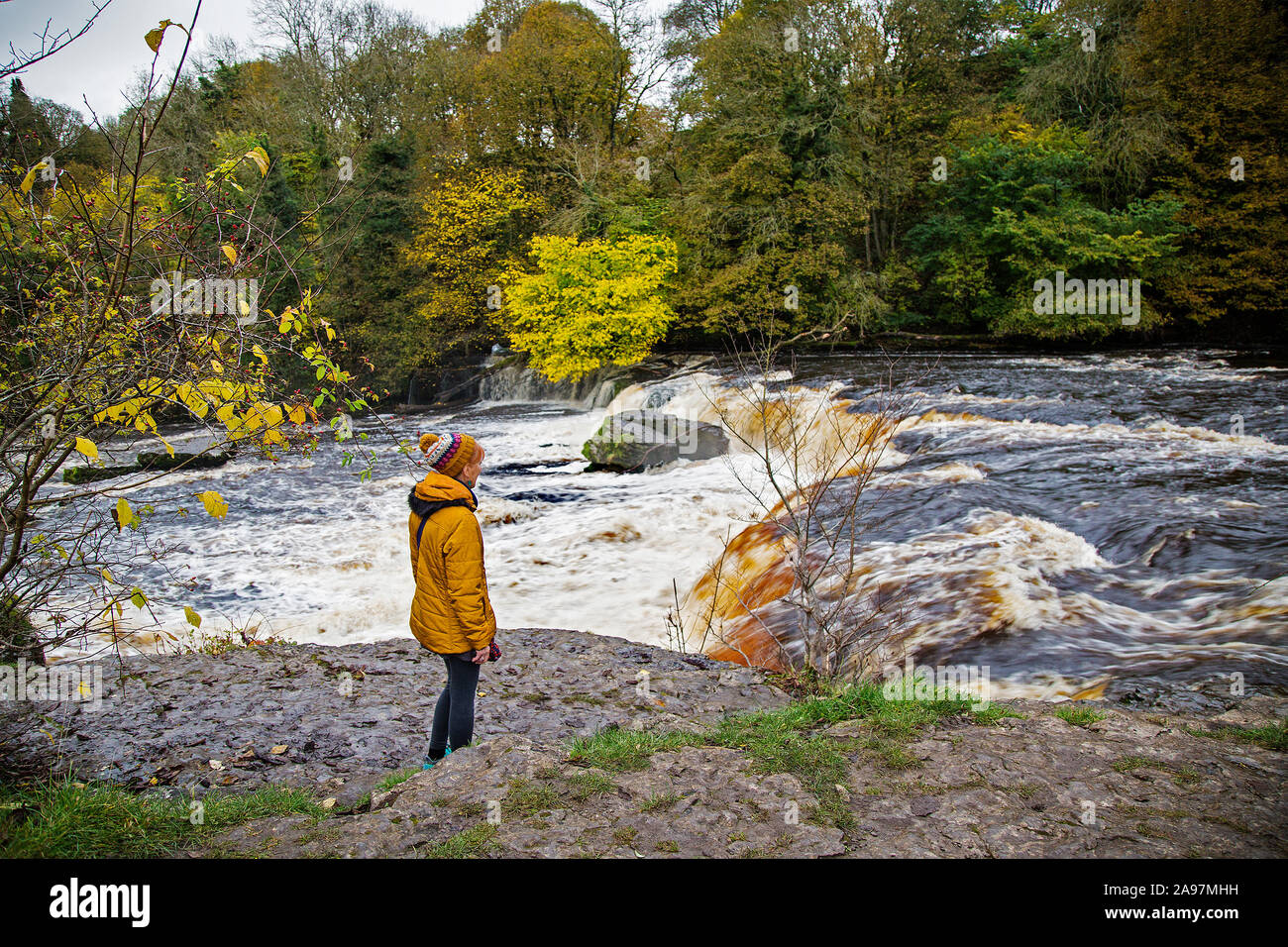 A woman in a mustard coloured coat and woolly hat stands by the torrent of water at Aysgarth Falls, North Yorkshire, England, UK Stock Photo