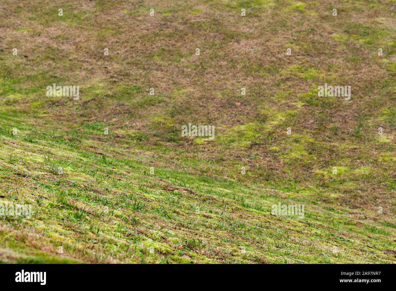 Ground pattern hi-res stock photography and images - Alamy