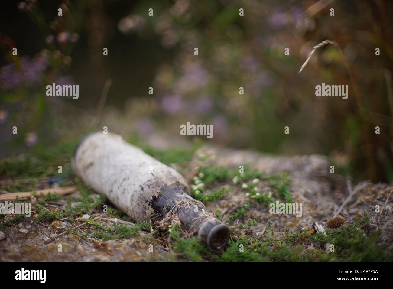 Old empty beer bottle wallowing on a river beach. Environmental pollution. Stock Photo